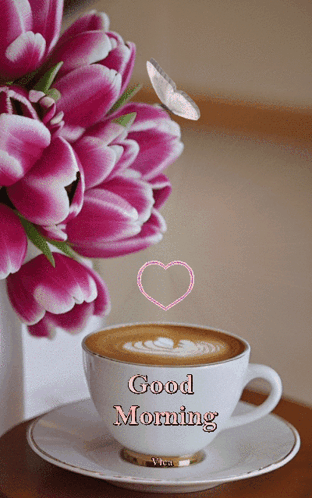 Good morning guys