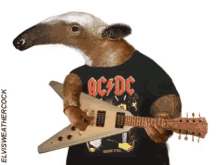Anteater Acdc GIF - Anteater Acdc Rocker GIFs