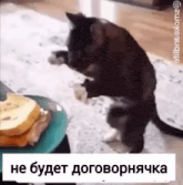 a cat standing on its hind legs next to a plate of pancakes
