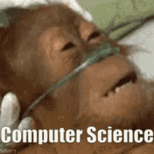 computer science scravers