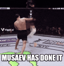 a picture of a fighter with the words musaev has done it