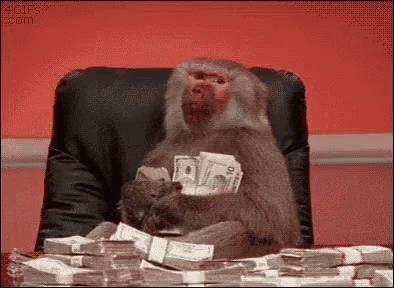 monkey-with-money-happy-withmoney.gif
