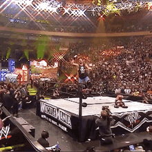 Stone Cold Steve Austin Drink Beer GIF - Stone Cold Steve Austin Drink Beer Drinking Beer GIFs