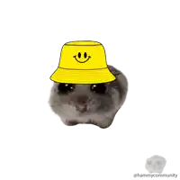 a hamster is wearing a yellow bucket hat with a smiley face on it