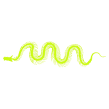 snake neon