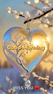 a heart shaped ornament with the words `` good morning miss you '' written on it is hanging from a tree branch .
