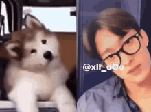 Dokyeom Puppy GIF - Dokyeom Puppy Seokmin GIFs