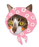 a cat is wearing a pink scarf with white flowers on it