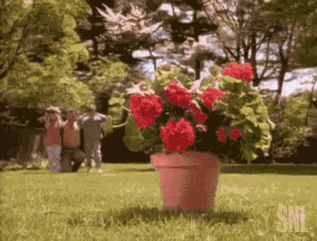 Pin by Pou Belle on Nice  Explosion, Cool vines, Cool gifs