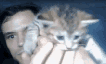 Pixilart - CUTE CAT GIF by Gurl000