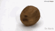 Coconut Spin GIF