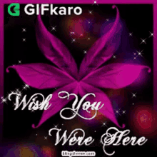 Wish You Were Here Gifkaro GIF - Wish You Were Here Gifkaro Wishes GIFs