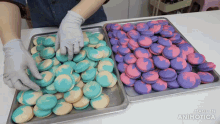 two trays of macarons with the words made in animatica on the bottom left