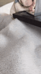 a dog is laying on a white blanket next to a laptop