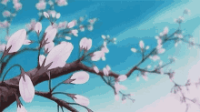 Blossom Flowers GIF - Blossom Flowers Cherry Blowers GIFs