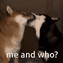 Dog Kiss French Kiss GIF