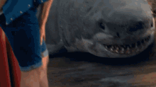 Sharkman GIF