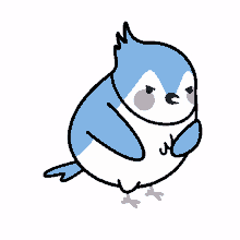 irritated bird