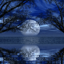 Luna Water GIF - Luna Water Night GIFs