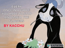 Kacchu11 Kacchu12 GIF - Kacchu11 Kacchu12 Kacchucow GIFs