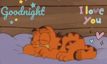 Goodnight Love GIF - Goodnight Love Garfield GIFs