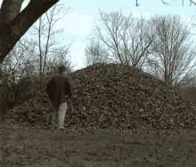 Jumping In GIF - Pile Of Leaves Dry Leaves Jump GIFs