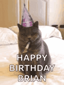 Happy Birthday Brian Cat GIF - Happy Birthday Brian Cat GIFs