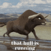 Bullmarket Bull GIF - Bullmarket Bull Price Rising GIFs