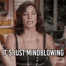Its Just Mindblowing Real Housewives Of New York GIF