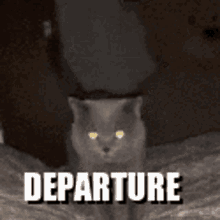 departure kitty