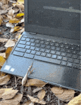 a laptop is open to a google page