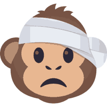 injured monkey