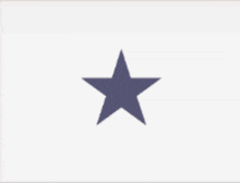 an orange circle in the middle of a purple star on a white background