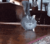 a cat is standing on a wooden floor in front of a table and chairs