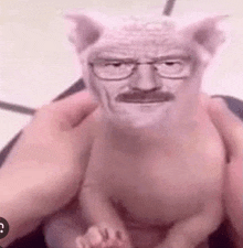 a person is holding a pig with a beard and glasses on it .