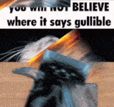 a picture of a cat with the words " you will not believe where it says gullible " below it