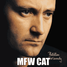 Mfw Cat Mfw GIF - Mfw Cat Mfw Cat GIFs