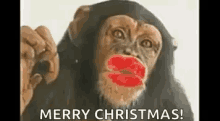 Kiss Monkey GIF - Kiss Monkey Merry Christmas GIFs