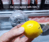 Agree Lemon GIF - Agree Lemon Do You Agree GIFs