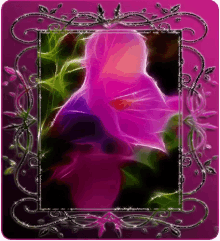 Pink Flower GIF