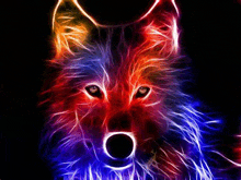 Wolf GIF