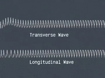 Longitudinal Wave Transverse Waves GIF - Longitudinal Wave Transverse Waves  Waves - Discover & Share GIFs