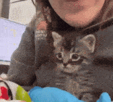 Gatito Mordiendo Besando A Gatito GIF - Gatito Mordiendo Besando A Gatito Gato Chikito GIFs