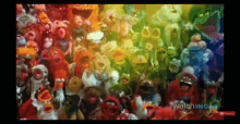 The Muppets Everyone Says Hi GIF - The Muppets Everyone Says Hi GIFs