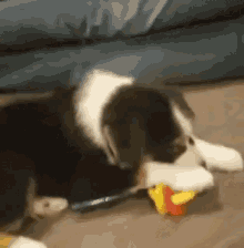 Puppy Dogs GIF - Puppy Dogs Cute Animals GIFs