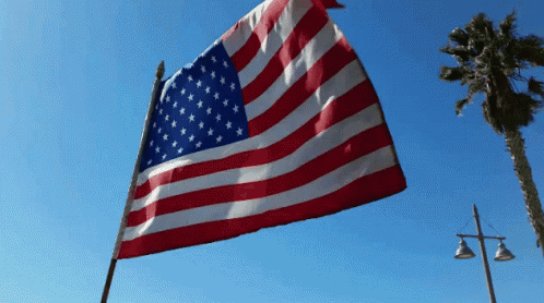 American Flag GIF - American Flag - GIF'leri Keşfedin ve Paylaşın
