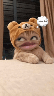 a cat is wearing a teddy bear hat with a thought bubble that says nho roi