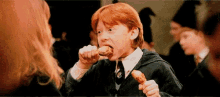 Ron Weasley Harry Potter GIF - Ron Weasley Harry Potter Chicken GIFs
