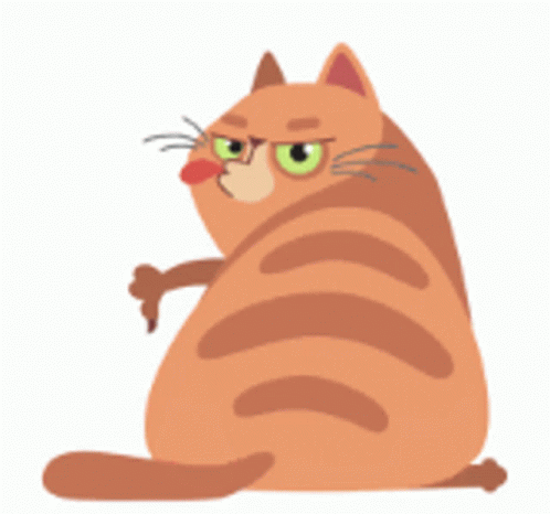 cat-thumbs-down.gif