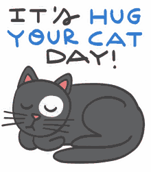 hug your cat day its hug your cat day cat hug day kitty cat